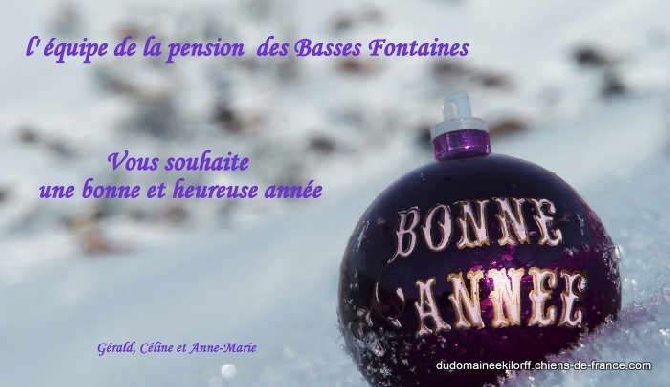 Bonne et Heureuse Année 2016 de la Pension